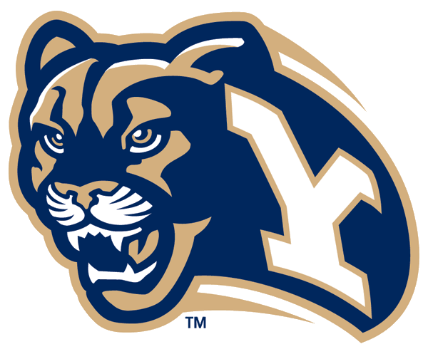 Brigham Young Cougars 1999-2004 Secondary Logo v2 DIY iron on transfer (heat transfer)